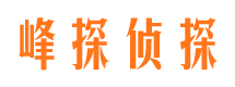 东丽市私家侦探